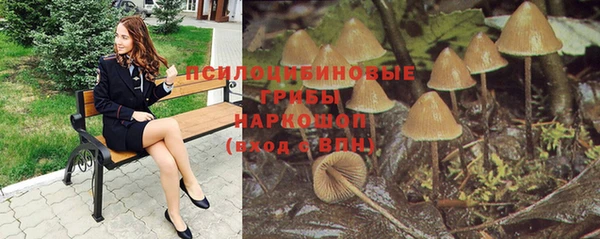 Альфа ПВП Алексеевка