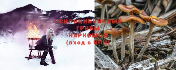 а пвп мука Алексин