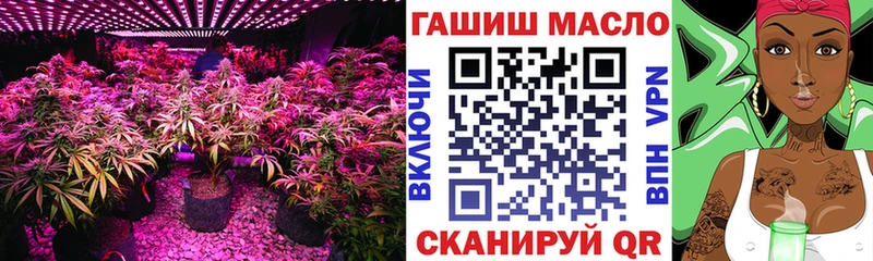 ТГК Wax Белгород